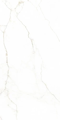 BIANERO-WHITE-60X120-01.webp
