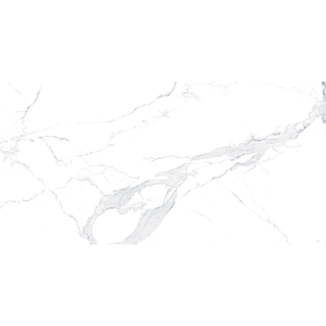Fiera Avenzo Silver F P 600x1200x8 R Full Lappato 1