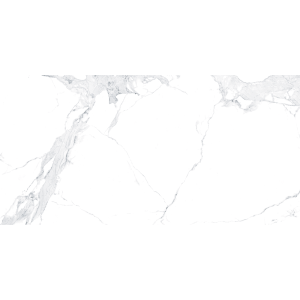 Fiera Avenzo Silver F P 600x1200x8 R Satin 1