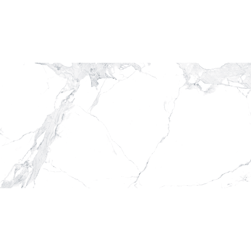 Avenzo-Silver-F-P-600x1200x8-R-Satin-1_2.png