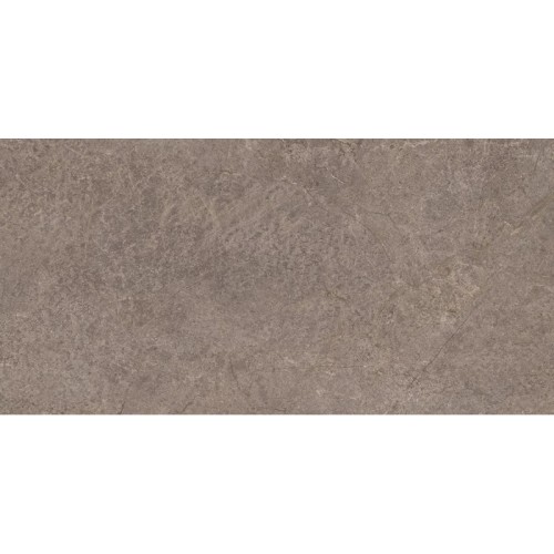 urban-champagne-naturale-struktura-mat-598x1198-rekt-gat1-p82421.jpg