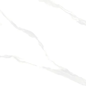 Egen Calacatta Natural Polished 60x60