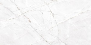 Egen Royal Valencia Silver Grey Polished 60x120