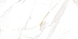 Egen Verona Gold Polished 60x120 