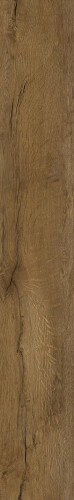 71677_1_3006247.jpg