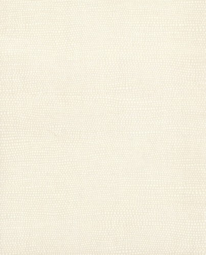 TN0040.jpg