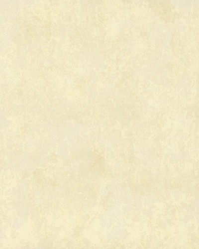 TN0008.jpg