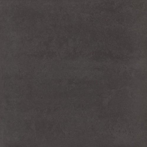 41558233.jpg