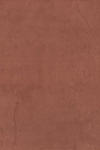 42916689.jpg