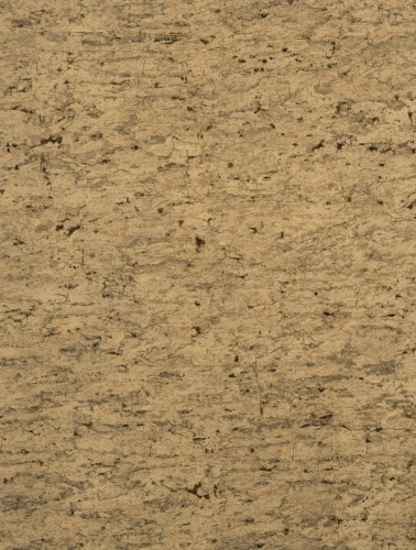 Y6201205.jpg