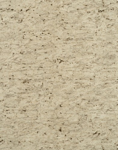 Y6201203.jpg