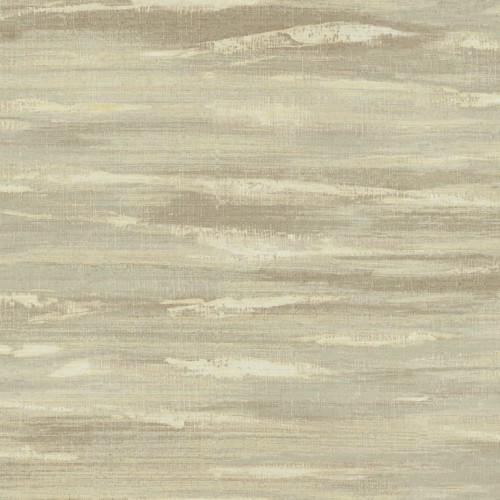 Y6190603.jpg