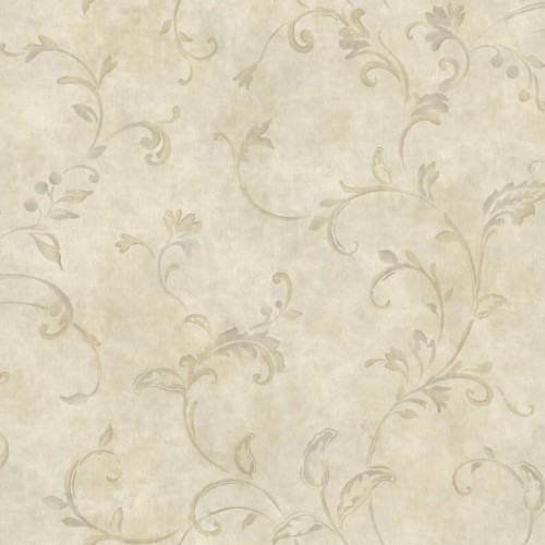 Y6190802.jpg