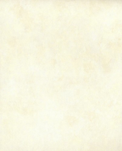 TN0006.jpg