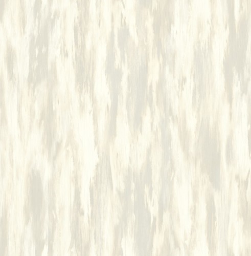 ce21005.jpg