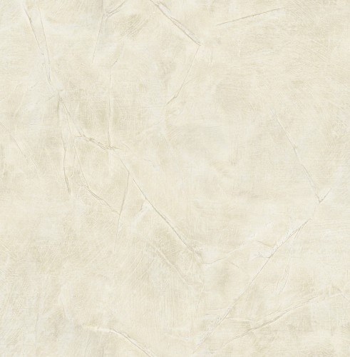 ce21105.jpg
