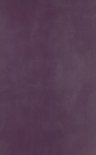 petersburg-viola-sciana-25x40-g1.jpg