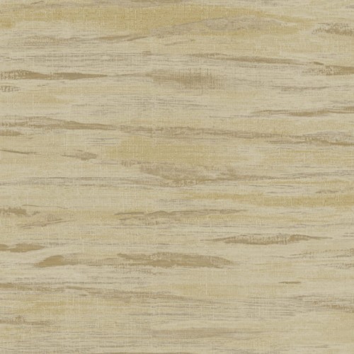 Y6190604.jpg