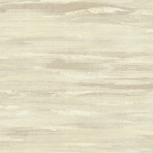 Y6190601.jpg