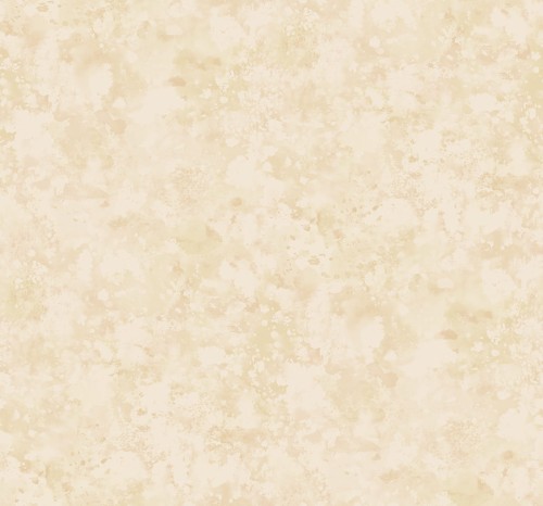 fi71401.jpg