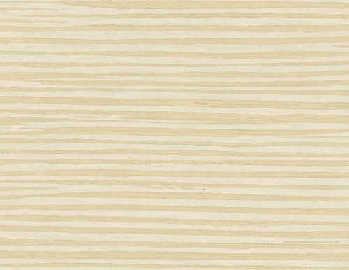 es71905.jpg