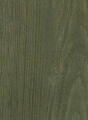 21_hiszpańska oliwka.gif