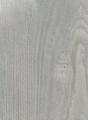 03_jesion bielony.gif