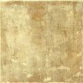 40901903.jpg