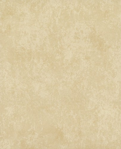 TN0010.jpg