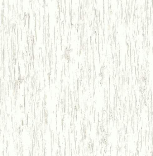 th50408.jpg