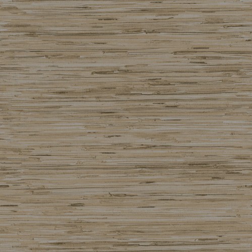 Y6201604.jpg